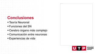 Conclusiones
 Teoría Neuronal
 Funciones del SN
 Cerebro órgano más complejo
 Comunicación entre neuronas
 Experiencias de vida
 