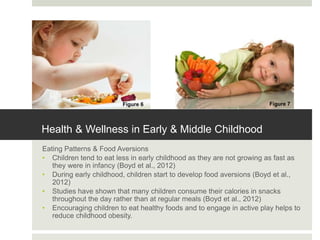 Health & Wellness in Early & Middle Childhood
Eating Patterns & Food Aversions
• Children tend to eat less in early childhood as they are not growing as fast as
they were in infancy (Boyd et al., 2012)
• During early childhood, children start to develop food aversions (Boyd et al.,
2012)
• Studies have shown that many children consume their calories in snacks
throughout the day rather than at regular meals (Boyd et al., 2012)
• Encouraging children to eat healthy foods and to engage in active play helps to
reduce childhood obesity.
Figure 6 Figure 7
 