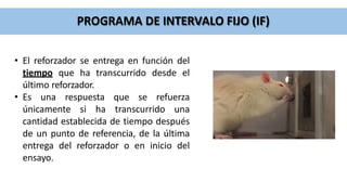 PROGRAMA DE INTERVALO FIJO (IF)
• El reforzador se entrega en función del
tiempo que ha transcurrido desde el
último reforzador.
• Es una respuesta que se refuerza
únicamente si ha transcurrido una
cantidad establecida de tiempo después
de un punto de referencia, de la última
entrega del reforzador o en inicio del
ensayo.
 