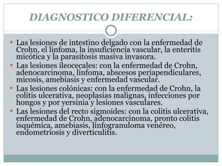 DIAGNOSTICO DIFERENCIAL: Las lesiones de intestino delgado con la enfermedad de Crohn, el linfoma, la insuficiencia vascular, la enteritis micótica y la parasitosis masiva invasora. Las lesiones íleocecales: con la enfermedad de Crohn, adenocarcinoma, linfoma, abscesos periapendiculares, micosis, amebiasis y enfermedad vascular. Las lesiones colónicas: con la enfermedad de Crohn, la colitis ulcerativa, neoplasias malignas, infecciones por hongos y por yersinia y lesiones vasculares. Las lesiones del recto sigmoides: con la colitis ulcerativa, enfermedad de Crohn, adenocarcinoma, pronto colitis isquémica, amebiasis, linfogranuloma venéreo, endometriosis y diverticulitis. 