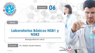 www.iestpsausa.edu.pe
Laboratorios Básicos NSB1 y
NSB2
Bioseguridad en salud
5/10/2022 1
06
Tlc. Robert Ayala Herrera
 