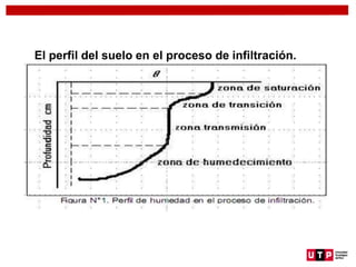 El perfil del suelo en el proceso de infiltración.
 