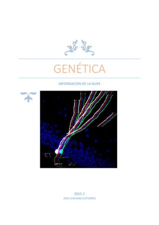 GENÉTICA
INFORMACION DE LA NUVE
2015-1
JOSE CHOLANG GUTIERREZ
 