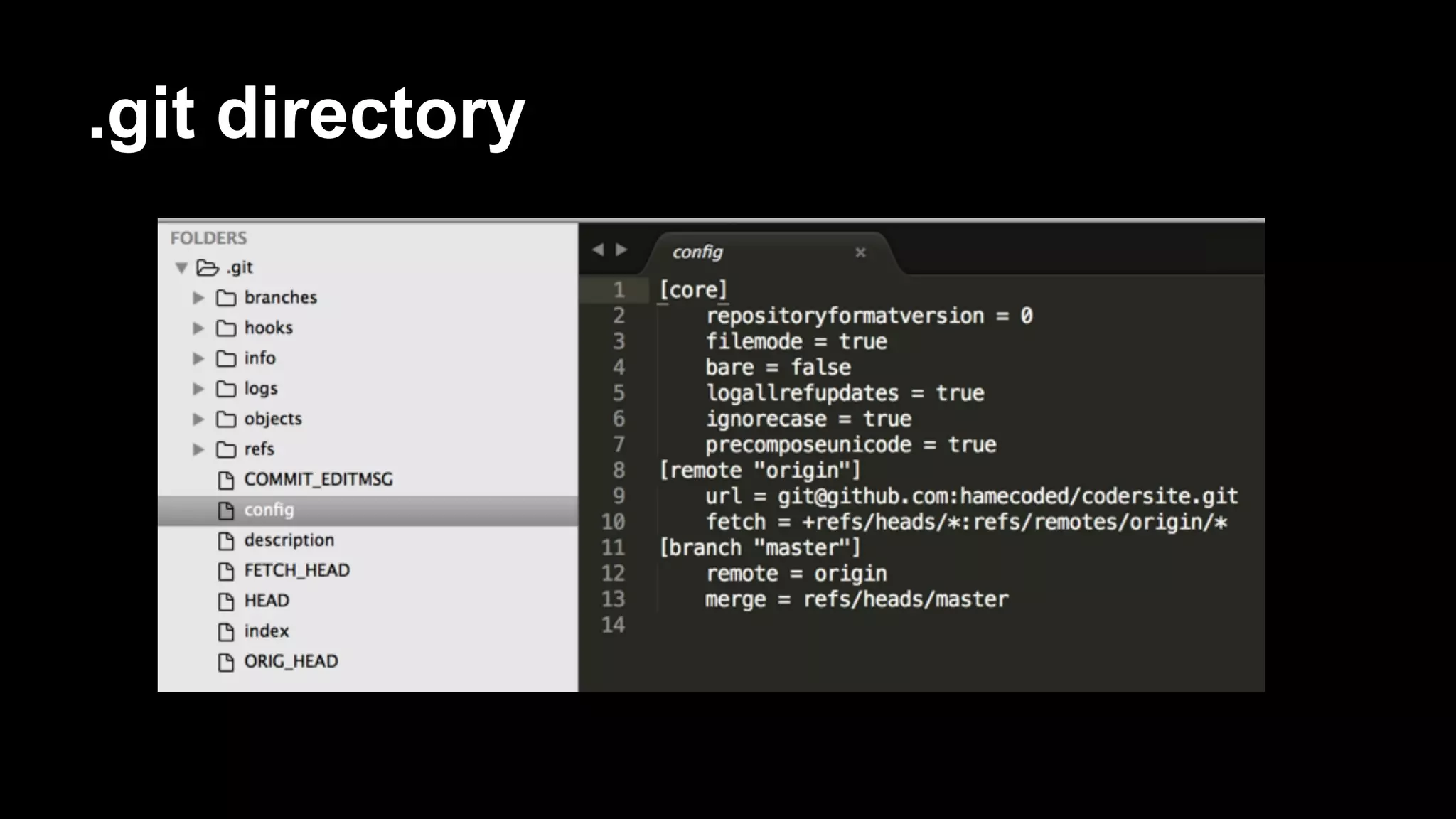 .git directory 
 
