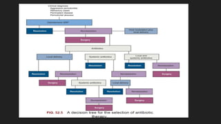 antibiotics and mechanism of action of antibiotic ressistance | PPTX