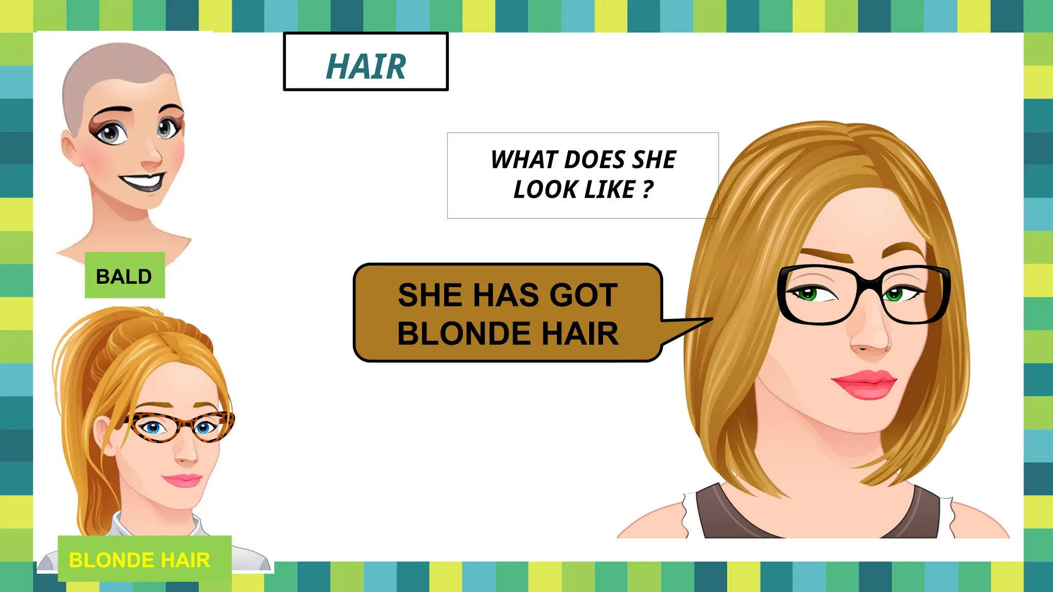 HAIR
BALD
BLONDE HAIR
WHAT DOES SHE
LOOK LIKE ?
SHE HAS GOT
BLONDE HAIR
 