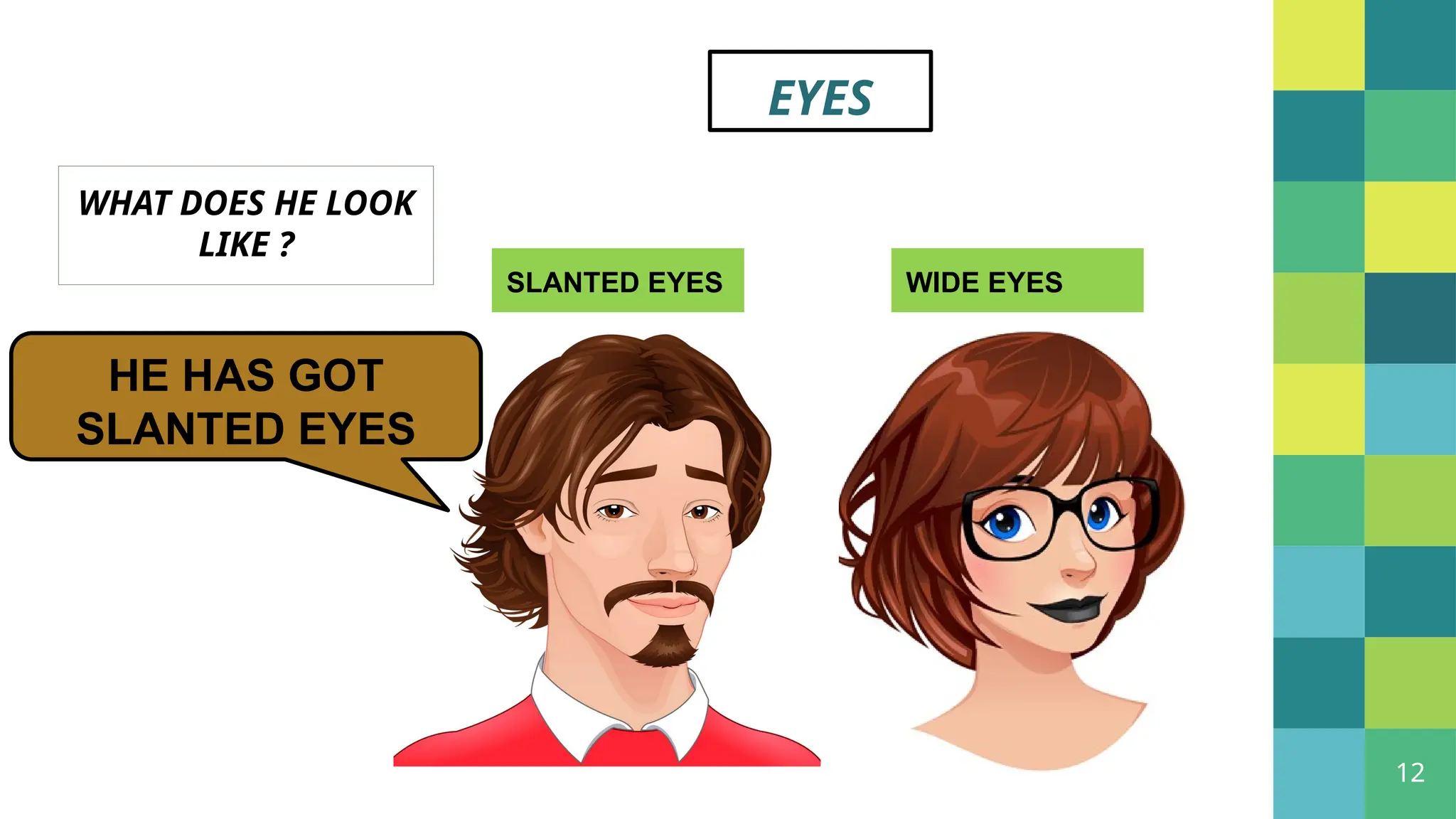 12
EYES
SLANTED EYES WIDE EYES
WHAT DOES HE LOOK
LIKE ?
HE HAS GOT
SLANTED EYES
 