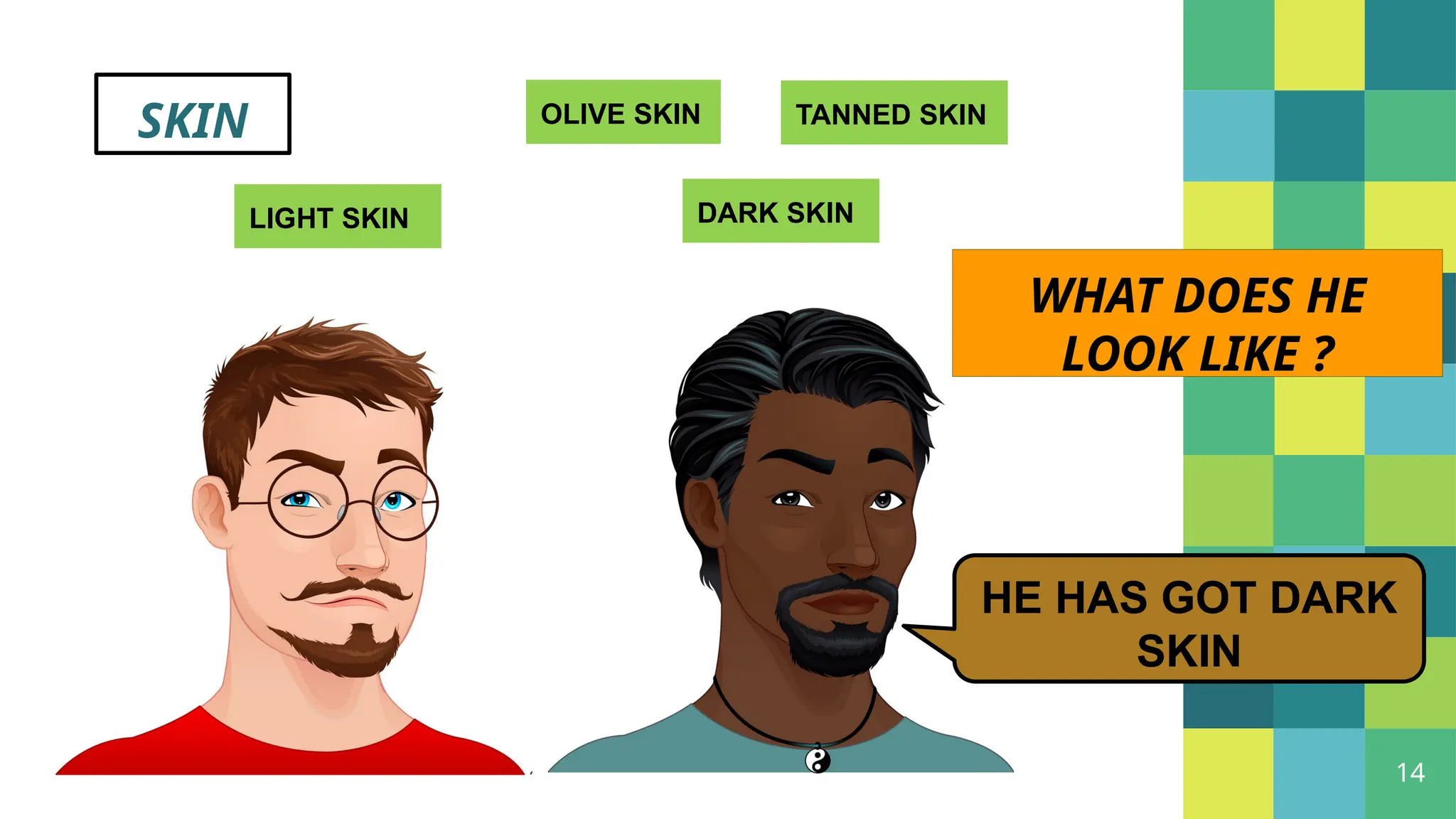 14
SKIN OLIVE SKIN
DARK SKIN
LIGHT SKIN
TANNED SKIN
WHAT DOES HE
LOOK LIKE ?
HE HAS GOT DARK
SKIN
 