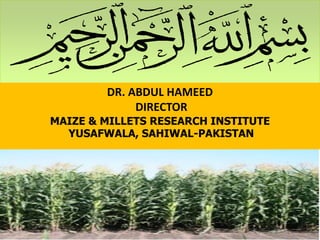 DR. ABDUL HAMEED
                 DIRECTOR
    MAIZE & MILLETS RESEARCH INSTITUTE
      YUSAFWALA, SAHIWAL-PAKISTAN




1
                                         1
 