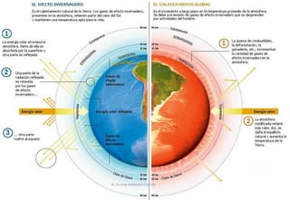 M. Cs Irma Mostacero Castillo
 