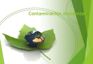 Contaminación Ambiental
 