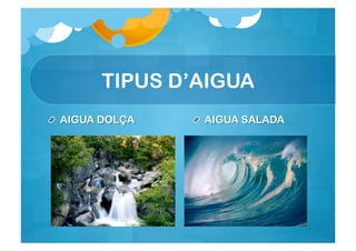 TIPUS D’AIGUA
 