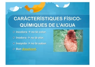 CARÁCTERÍSTIQUES FÍSICO-
  QUÍMIQUES DE L’AIGUA
 