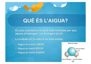 QUÈ ÉS L’AIGUA?
 