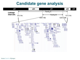 Candidate gene analysis 126.4  Mb 109.7 Mb 340 genes 