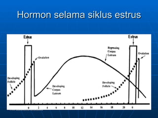 Hormon selama siklus estrus Trinil Susilawati,Unibraw,2005 