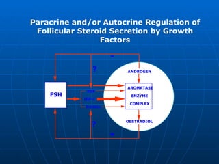AROMATASE  ENZYME  COMPLEX ANDROGEN OESTRADIOL FSH IGF-I EGF Inhibin ? ? Paracrine and/or Autocrine Regulation of Follicular Steroid Secretion by Growth Factors 