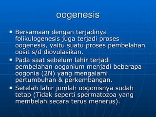 oogenesis Bersamaan dengan terjadinya folikulogenesis juga terjadi proses oogenesis, yaitu suatu proses pembelahan oosit s/d diovulasikan. Pada saat sebelum lahir terjadi pembelahan oogonium menjadi beberapa oogonia (2N) yang mengalami pertumbuhan & perkembangan. Setelah lahir jumlah oogonisnya sudah tetap (Tidak seperti spermatozoa yang membelah secara terus menerus). 