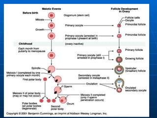 Trinil Susilawati,Unibraw,2005 