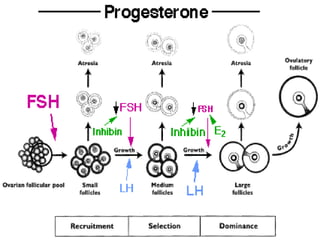 Trinil Susilawati,Unibraw,2005 