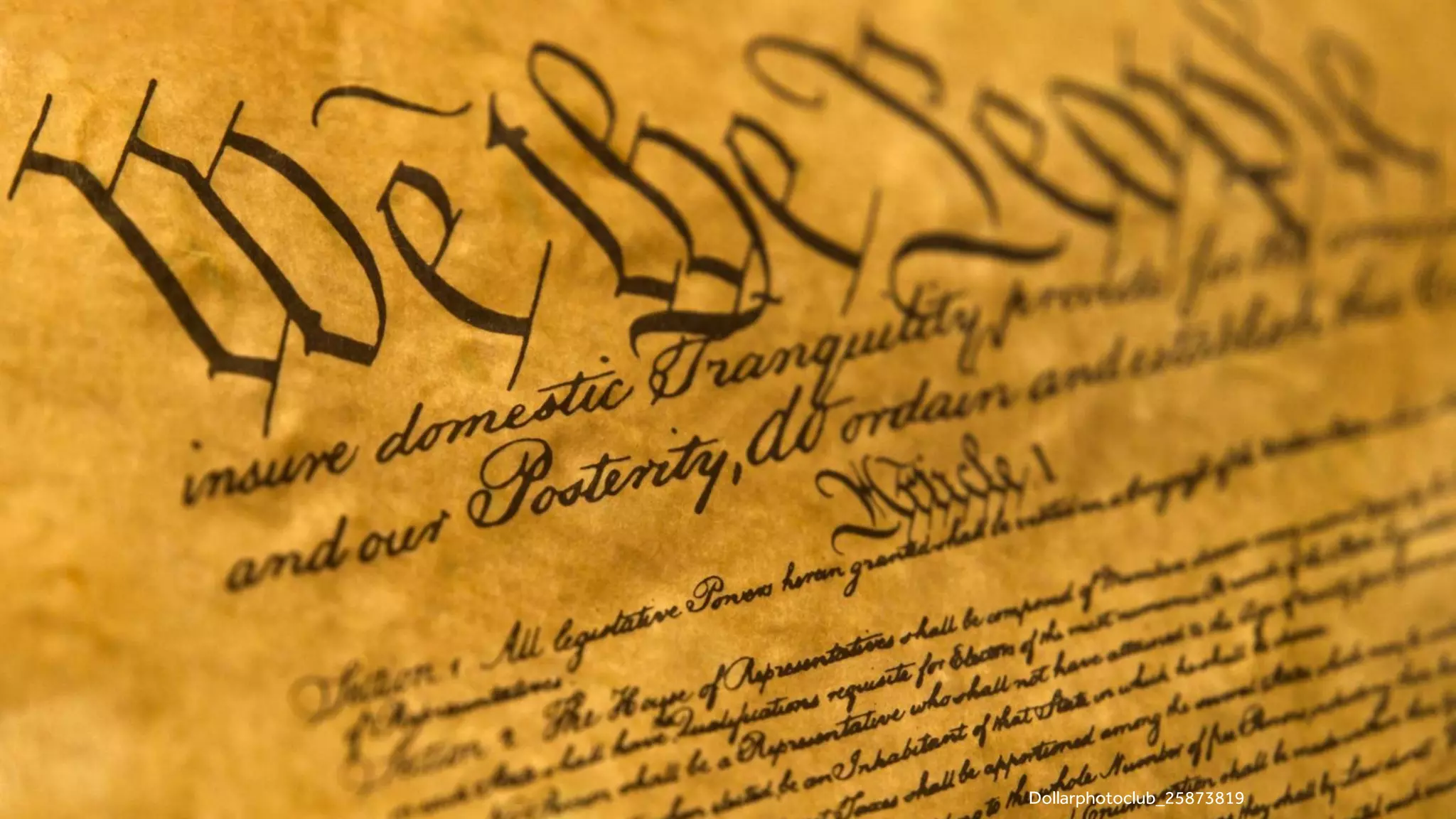 21
Dollarphotoclub_25873819
 