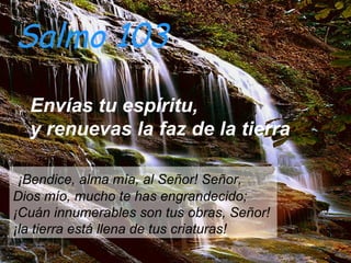 Salm o 103  Envías tu espíritu,  y renuevas la faz de la tierra   ¡Bendice, alma mía, al Señor! Señor,  Dios mío, mucho te has engrandecido;   ¡Cuán innumerables son tus obras, Señor!  ¡la tierra está llena de tus criaturas! 
