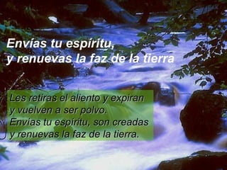 Envías tu espíritu,  y renuevas la faz de la tierra Les retiras el aliento y expiran  y vuelven a ser polvo.  Envías tu espíritu, son creadas  y renuevas la faz de la tierra.  