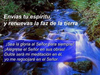 Envías tu espíritu,  y renuevas la faz de la tierra ¡Sea la gloria al Señor para siempre!  ¡Alégrese el Señor en sus obras!  Dulce será mi meditación en él,  yo me regocijaré en el Señor. 
