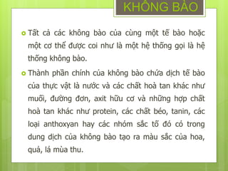  Tất cả các không bào của cùng một tế bào hoặc
một cơ thể được coi như là một hệ thống gọi là hệ
thống không bào.
 Thành phần chính của không bào chứa dịch tế bào
của thực vật là nước và các chất hoà tan khác như
muối, đường đơn, axit hữu cơ và những hợp chất
hoà tan khác như protein, các chất béo, tanin, các
loại anthoxyan hay các nhóm sắc tố đó có trong
dung dịch của không bào tạo ra màu sắc của hoa,
quả, lá mùa thu.
KHÔNG BÀO
 