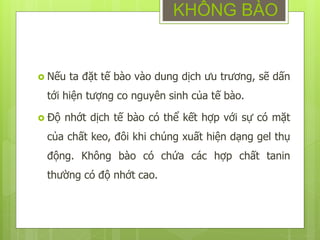  Nếu ta đặt tế bào vào dung dịch ưu trương, sẽ dấn
tới hiện tượng co nguyên sinh của tế bào.
 Độ nhớt dịch tế bào có thể kết hợp với sự có mặt
của chất keo, đôi khi chúng xuất hiện dạng gel thụ
động. Không bào có chứa các hợp chất tanin
thường có độ nhớt cao.
KHÔNG BÀO
 