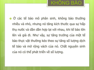  Ở các tế bào mô phân sinh, không bào thường
nhiều và nhỏ, nhưng nó tăng kích thước qua sự hấp
thụ nước và dần dần hợp lại với nhau, khi tế bào lớn
lên và già đi. Như vậy, sự tăng trưởng của một tế
bào thực vật thường kéo theo sự tăng số lượng dịch
tế bào và mở rộng vách của nó. Chất nguyên sinh
của nó có thể phát triển về số lượng.
KHÔNG BÀO
 