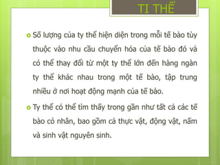  Số lượng của ty thể hiện diện trong mỗi tế bào tùy
thuộc vào nhu cầu chuyển hóa của tế bào đó và
có thể thay đổi từ một ty thể lớn đến hàng ngàn
ty thể khác nhau trong một tế bào, tập trung
nhiều ở nơi hoạt động mạnh của tế bào.
 Ty thể có thể tìm thấy trong gần như tất cả các tế
bào có nhân, bao gồm cả thực vật, động vật, nấm
và sinh vật nguyên sinh.
TI THỂ
 