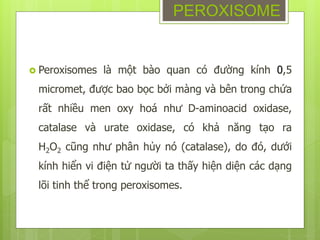  Peroxisomes là một bào quan có đường kính 0,5
micromet, được bao bọc bởi màng và bên trong chứa
rất nhiều men oxy hoá như D-aminoacid oxidase,
catalase và urate oxidase, có khả năng tạo ra
H2O2 cũng như phân hủy nó (catalase), do đó, dưới
kính hiển vi điện tử người ta thấy hiện diện các dạng
lõi tinh thể trong peroxisomes.
PEROXISOME
 