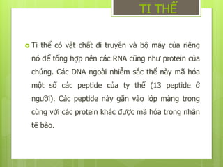  Ti thể có vật chất di truyền và bộ máy của riêng
nó để tổng hợp nên các RNA cũng như protein của
chúng. Các DNA ngoài nhiễm sắc thể này mã hóa
một số các peptide của ty thể (13 peptide ở
người). Các peptide này gắn vào lớp màng trong
cùng với các protein khác được mã hóa trong nhân
tế bào.
TI THỂ
 