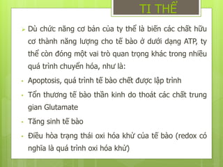  Dù chức năng cơ bản của ty thể là biến các chất hữu
cơ thành năng lượng cho tế bào ở dưới dạng ATP, ty
thể còn đóng một vai trò quan trọng khác trong nhiều
quá trình chuyển hóa, như là:
• Apoptosis, quá trình tế bào chết được lập trình
• Tổn thương tế bào thần kinh do thoát các chất trung
gian Glutamate
• Tăng sinh tế bào
• Điều hòa trạng thái oxi hóa khử của tế bào (redox có
nghĩa là quá trình oxi hóa khử)
TI THỂ
 