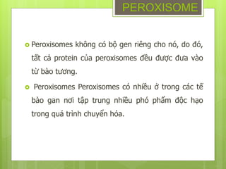  Peroxisomes không có bộ gen riêng cho nó, do đó,
tất cả protein của peroxisomes đều được đưa vào
từ bào tương.
 Peroxisomes Peroxisomes có nhiều ở trong các tế
bào gan nơi tập trung nhiều phó phẩm độc hạo
trong quá trình chuyển hóa.
PEROXISOME
 
