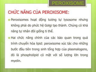CHỨC NĂNG CỦA PEROXISOME:
 Peroxisomes hoạt động tương tự lysosome nhưng
không phải do phức hệ Golgi tạo thành. Chúng có khả
năng tự nhân đôi giống ti thể.
 Hai chức năng chính của các bào quan trong quá
trình chuyển hóa lipid: peroxisome xúc tác cho những
bước đầu tiên trong sinh tổng hợp của plasmalogens,
đó là phospholipid có mặt với số lượng lớn trong
myelin.
PEROXISOME
 