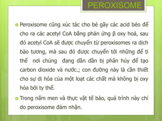  Peroxisome cũng xúc tác cho bẻ gãy các acid béo để
cho ra các acetyl CoA bằng phản ứng β oxy hoá, sau
đó acetyl CoA sẽ được chuyển từ peroxisomes ra dịch
bào tương, mà sau đó được chuyển tới những để ti
thể nơi chúng đang dần dần bị phân hủy để tạo
carbon dioxide và nước.; con đường này là cần thiết
cho sự dị hóa của một loạt các chất mà không bị oxy
hóa bởi ty thể.
 Trong nấm men và thực vật tế bào, quá trình này chỉ
do peroxisome đảm nhận.
PEROXISOME
 