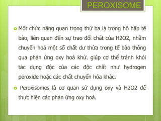  Một chức năng quan trọng thứ ba là trong hô hấp tế
bào, liên quan đến sự trao đổi chất của H2O2, nhằm
chuyển hoá một số chất dư thừa trong tế bào thông
qua phản ứng oxy hoá khử. giúp cơ thể tránh khỏi
tác dụng độc của các độc chất như hydrogen
peroxide hoặc các chất chuyển hóa khác.
 Peroxisomes là cơ quan sử dụng oxy và H2O2 để
thực hiện các phản ứng oxy hoá.
PEROXISOME
 