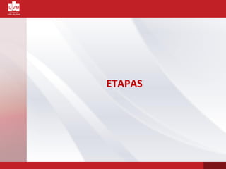 ETAPAS
 