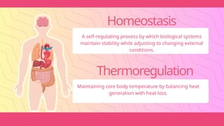 Homeostasis
A self-regulating process by which biological systems
maintain stability while adjusting to changing external
conditions.
Thermoregulation
Maintaining core body temperature by balancing heat
generation with heat loss.
 
