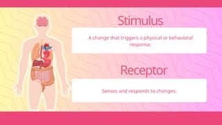 Stimulus
A change that triggers a physical or behavioral
response.
Receptor
Senses and responds to changes.
 