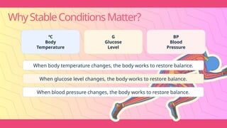 WhyStableConditionsMatter?
℃
Body
Temperature
G
Glucose
Level
BP
Blood
Pressure
When body temperature changes, the body works to restore balance.
When glucose level changes, the body works to restore balance.
When blood pressure changes, the body works to restore balance.
 