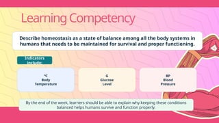 LearningCompetency
Describe homeostasis as a state of balance among all the body systems in
humans that needs to be maintained for survival and proper functioning.
Indicators
include:
℃
Body
Temperature
G
Glucose
Level
BP
Blood
Pressure
By the end of the week, learners should be able to explain why keeping these conditions
balanced helps humans survive and function properly.
 