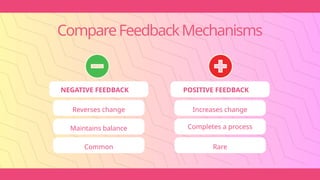 CompareFeedbackMechanisms
NEGATIVE FEEDBACK POSITIVE FEEDBACK
Reverses change Increases change
Maintains balance Completes a process
Common Rare
 