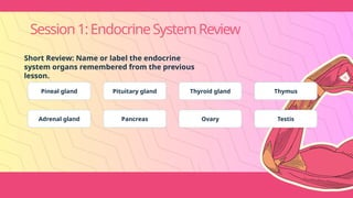 Session1:EndocrineSystemReview
Short Review: Name or label the endocrine
system organs remembered from the previous
lesson.
Pineal gland Pituitary gland Thyroid gland Thymus
Adrenal gland Pancreas Ovary Testis
 