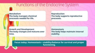 FunctionsoftheEndocrineSystem
Metabolism
The body manages chemical
processes needed for life.
Growth and Development
The body changes and matures over
time.
Reproduction
The body supports reproductive
processes.
Homeostasis
The body helps maintain internal
stability.
Focus today: Homeostasis = stability/balance for survival and proper
functioning.
 