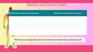 BeforeandNowChart
BEFORE: What I know about homeostasis NOW: What I learned after the lesson
What do you already know about how the human body keeps itself balanced?
 