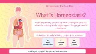 WhatIsHomeostasis?
A self-regulating process by which biological systems
maintain stability while adjusting to changing external
conditions.
It keeps the body working properly for survival.
Homeostasis: The Core Idea
℃
Body
Temperature
G
Glucose
Level
BP
Blood
Pressure
Think: What happens if balance is not restored?
 