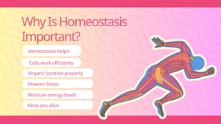 WhyIsHomeostasis
Important?
Homeostasis helps:
Cells work efficiently
Organs function properly
Prevent illness
Maintain energy levels
Keep you alive
 